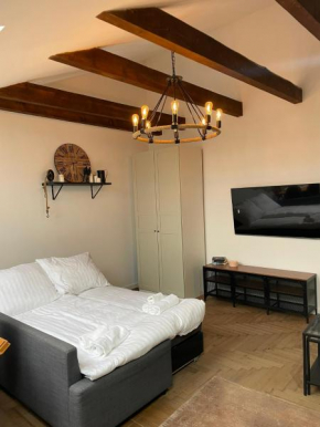 Apartament Powstańców Śląskich Centrum